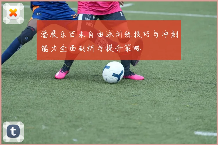潘展乐百米自由泳训练技巧与冲刺能力全面剖析与提升策略