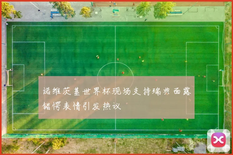 诺维茨基世界杯现场支持瑞典面露错愕表情引发热议